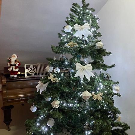 Casa Pino Hotel Brasov Luaran gambar